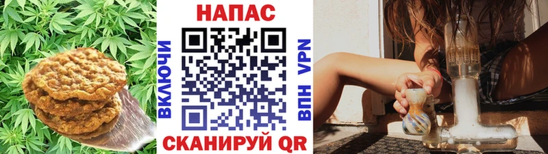 Canna-Cookies конопля  blacksprut как войти  Ряжск 