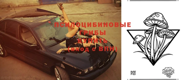 трава Армянск