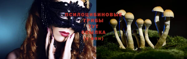 трава Армянск
