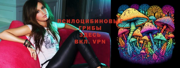 трава Армянск