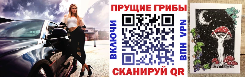 даркнет сайт  гидра ссылки  Псилоцибиновые грибы прущие грибы  Ряжск 